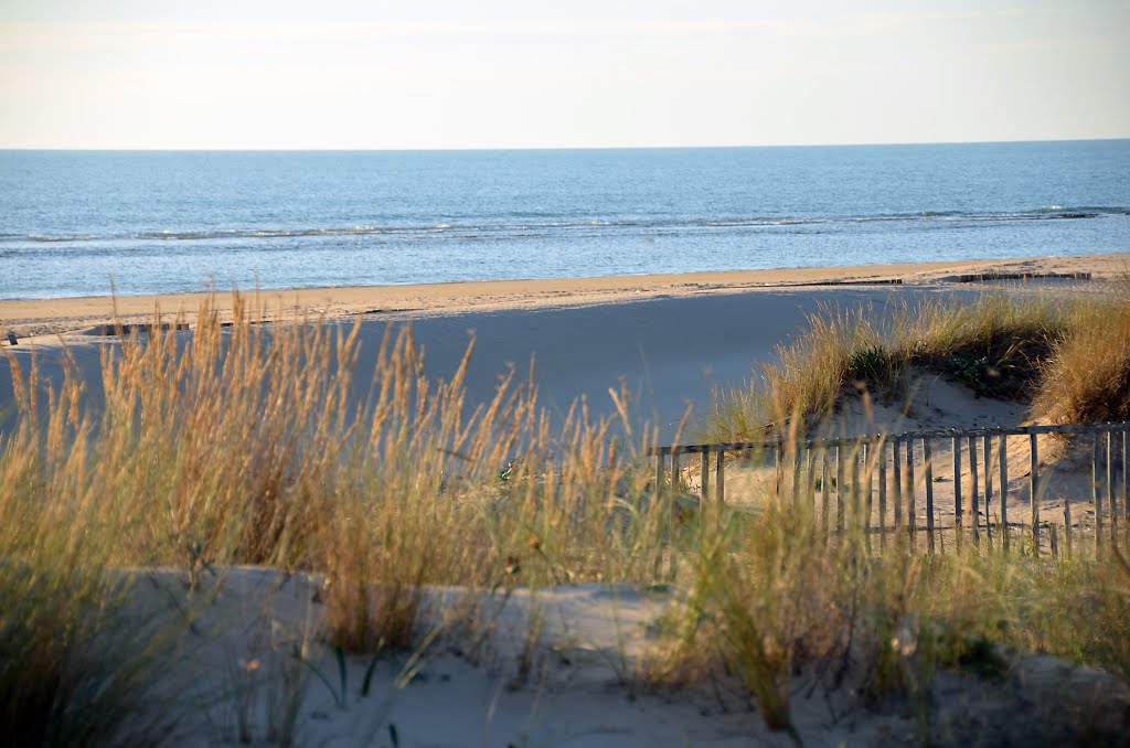 Dunas en la playa de la Cortadura by j-matute