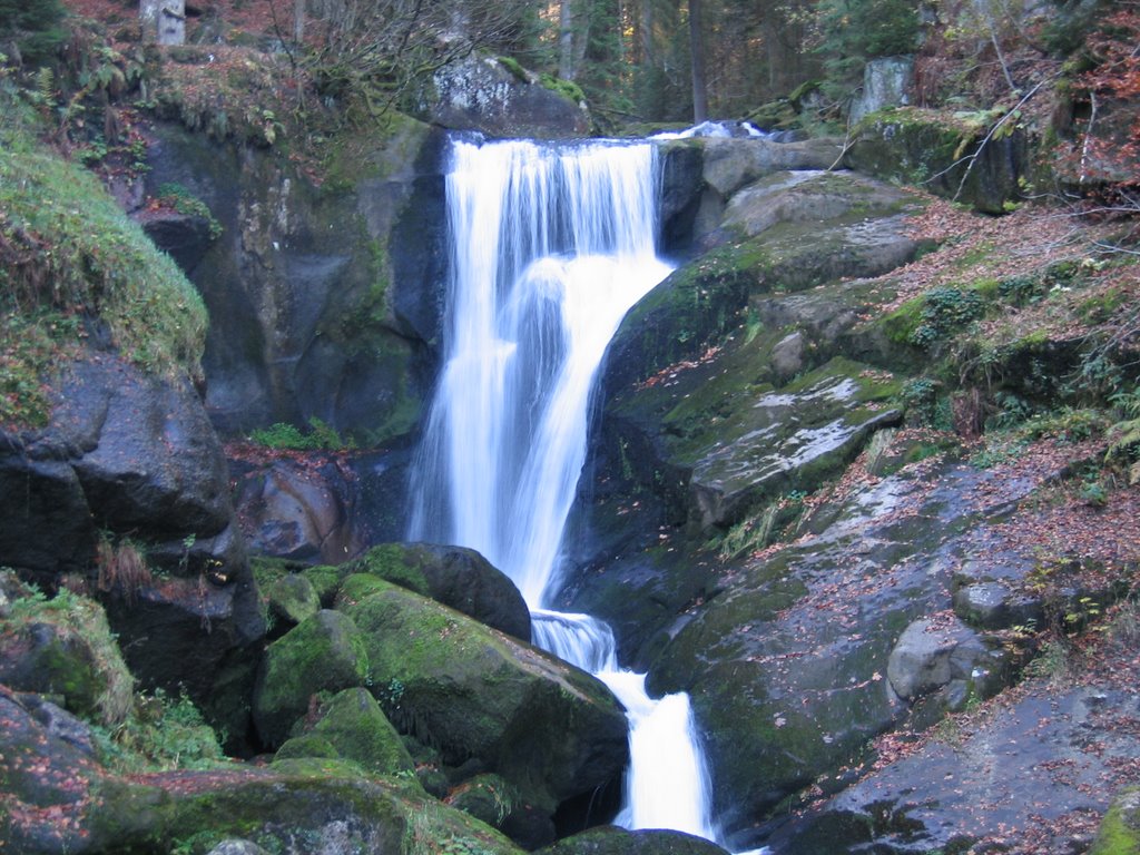 Cascade Triberger Wasserfälle by qwesy qwesy