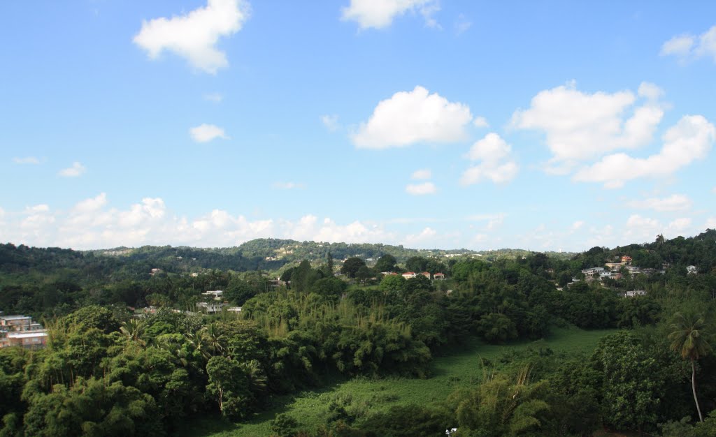 Desde lo alto de Trujillo Alto by Ricardo David Jusino