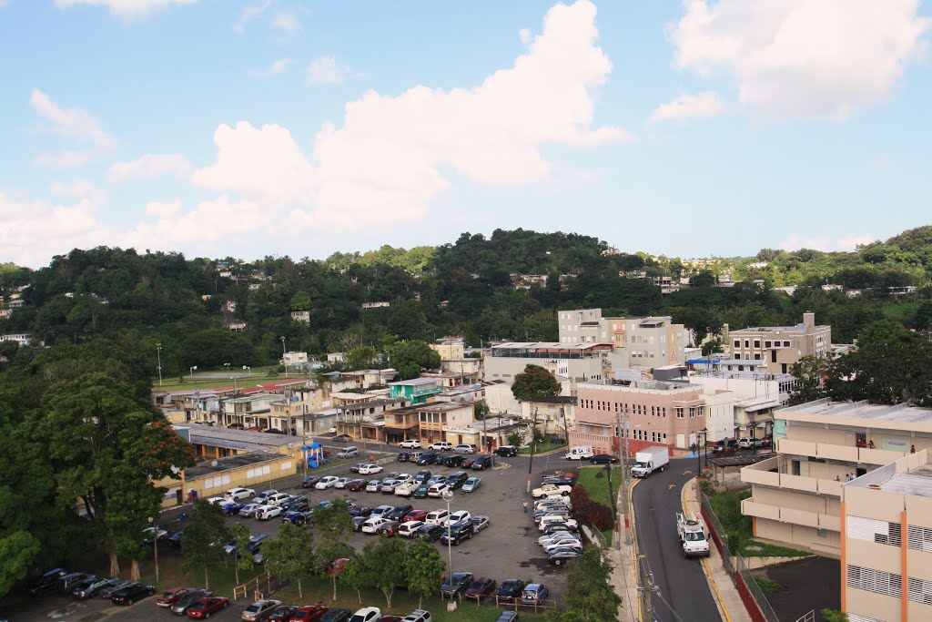 Desde lo alto de Trujillo Alto by Ricardo David Jusino