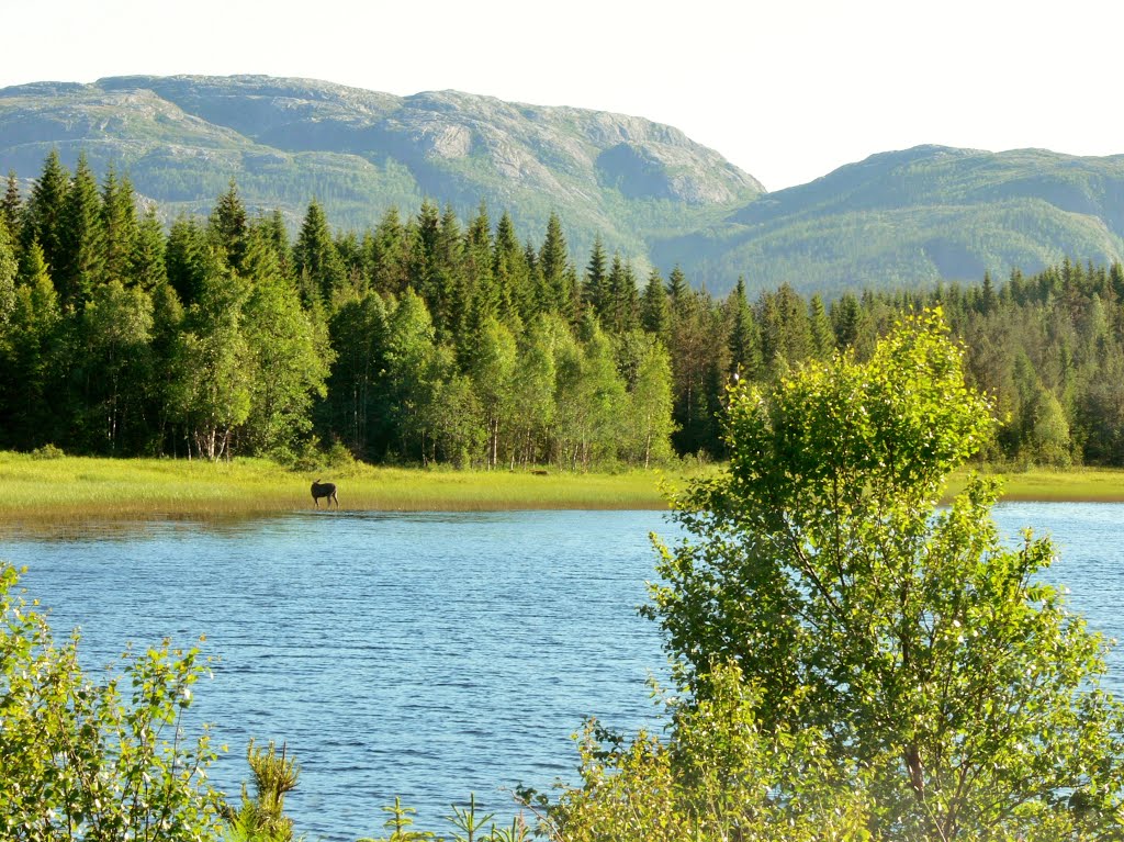 Ved Kovufjorden by H.Jelstad