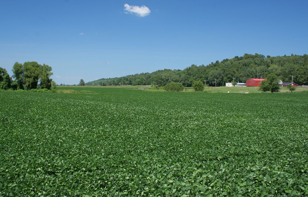 Gratio, Tennessee by FlyoverCountry