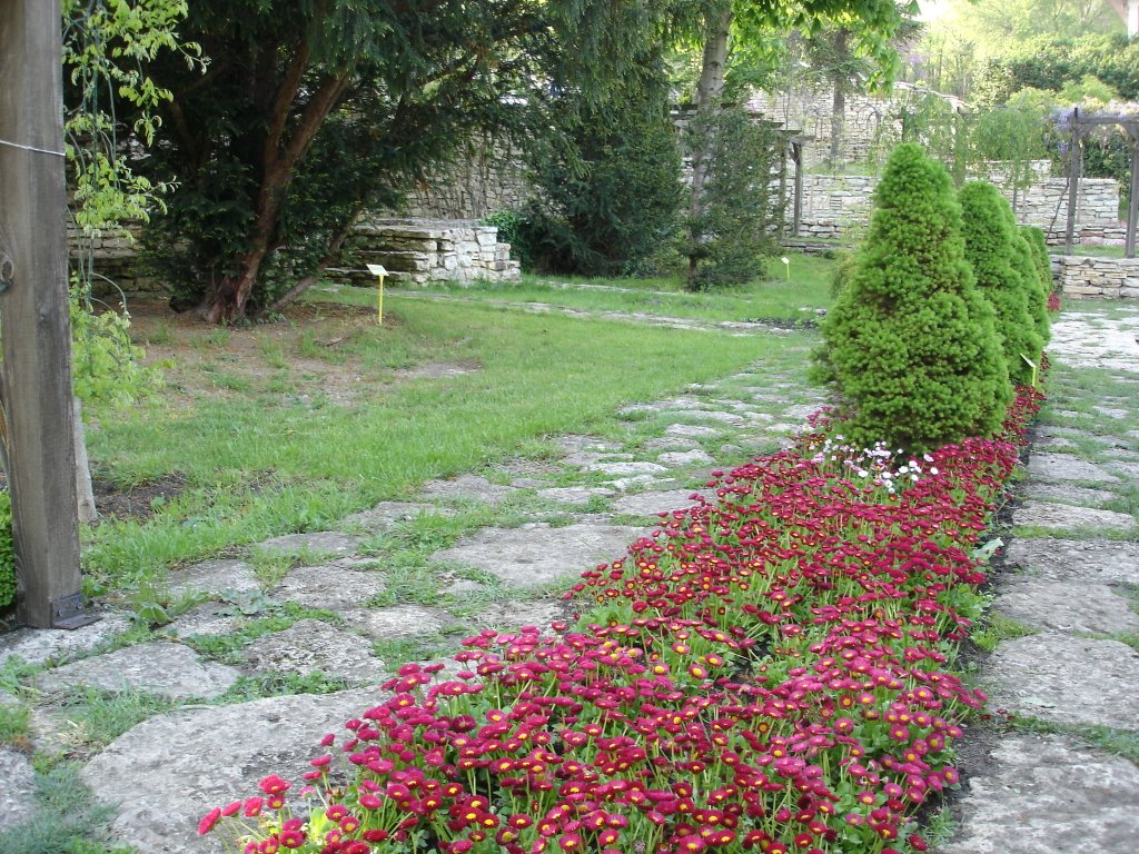 View from the Palace and the Botanical Garden of Sofia Univercity "St. Climent Ohridski" by Svilen Enev