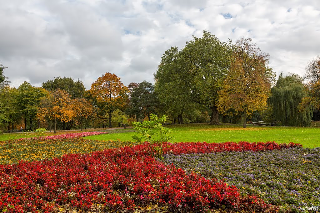 The Park, Rotterdam by © BraCom (Bram)