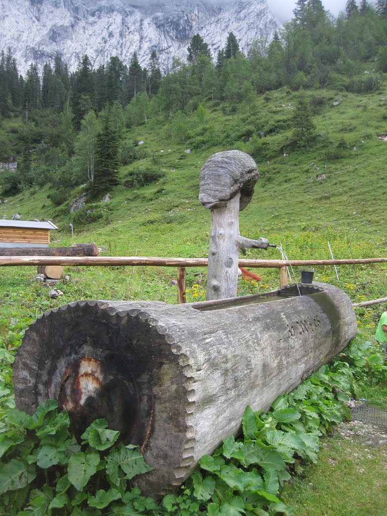 Wettersteinalmbrunnen by Friedrichhansi