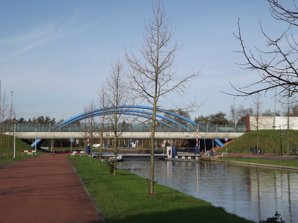 Assen Vaartviaduct 7-11-2013 by PatrickWiekens