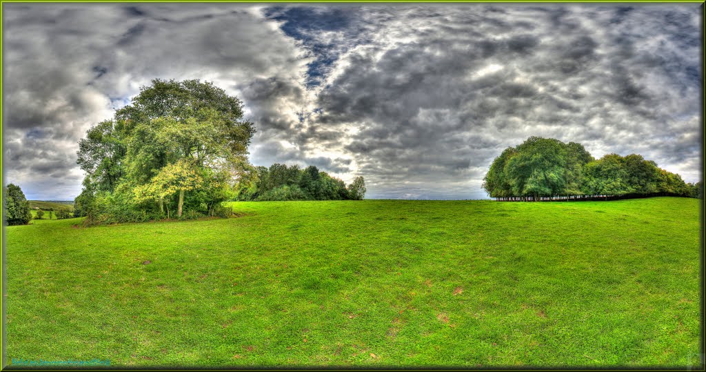 Les grasses prairies des Converts à Baye en champagne-fp by françois PARIS