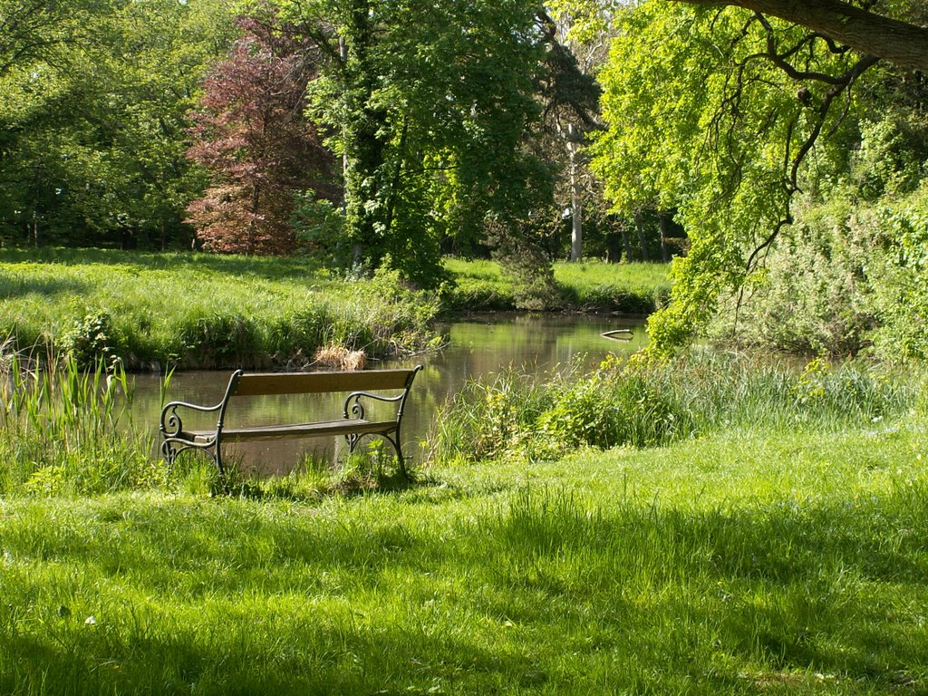 Harrach-park by f.laszlo