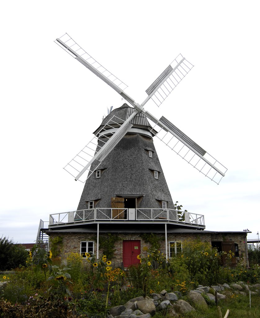 Hansestadt Stralsund, Windmühle im Zoo by Uwe Gehring