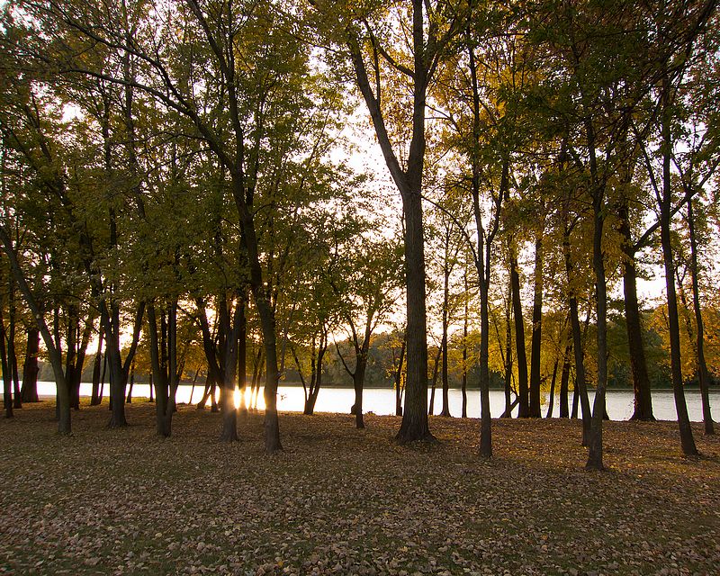 Mississippi River View by Aaron Nuffer