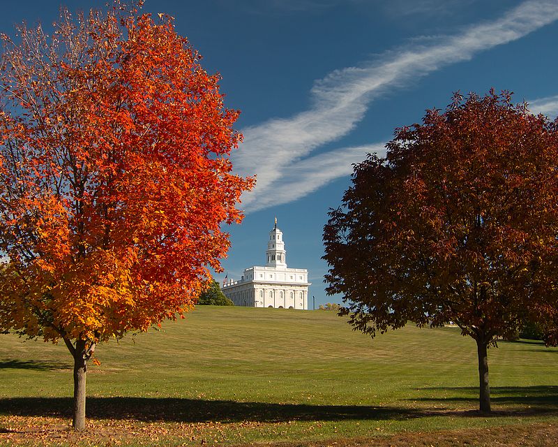 Nauvoo Temple by Aaron Nuffer