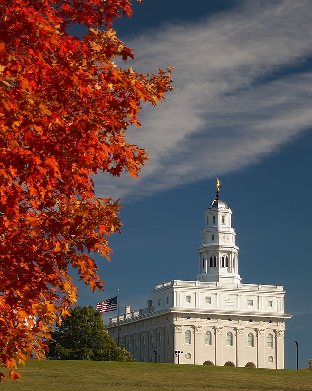 Nauvoo Temple by Aaron Nuffer