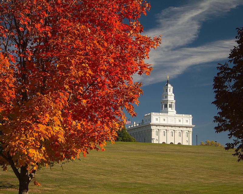 Nauvoo Temple by Aaron Nuffer