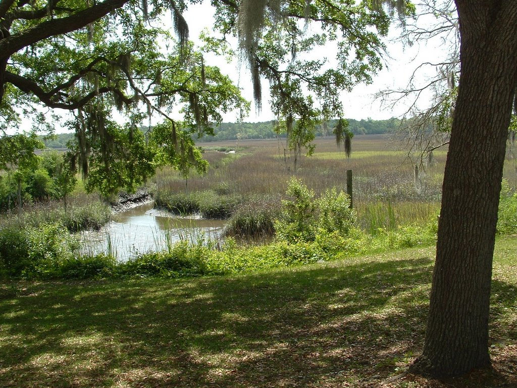 Marsh near Bethesda Home for Boys, Savannah, GA by Don Clinton