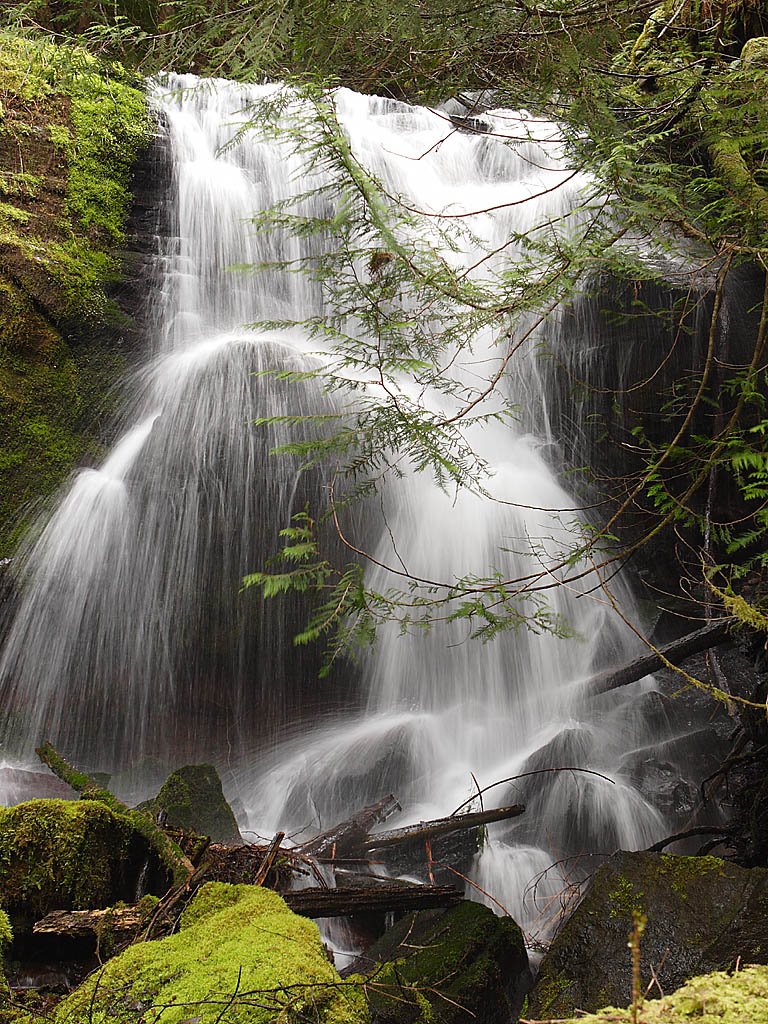 Nash Creek Falls by Kris Minnear