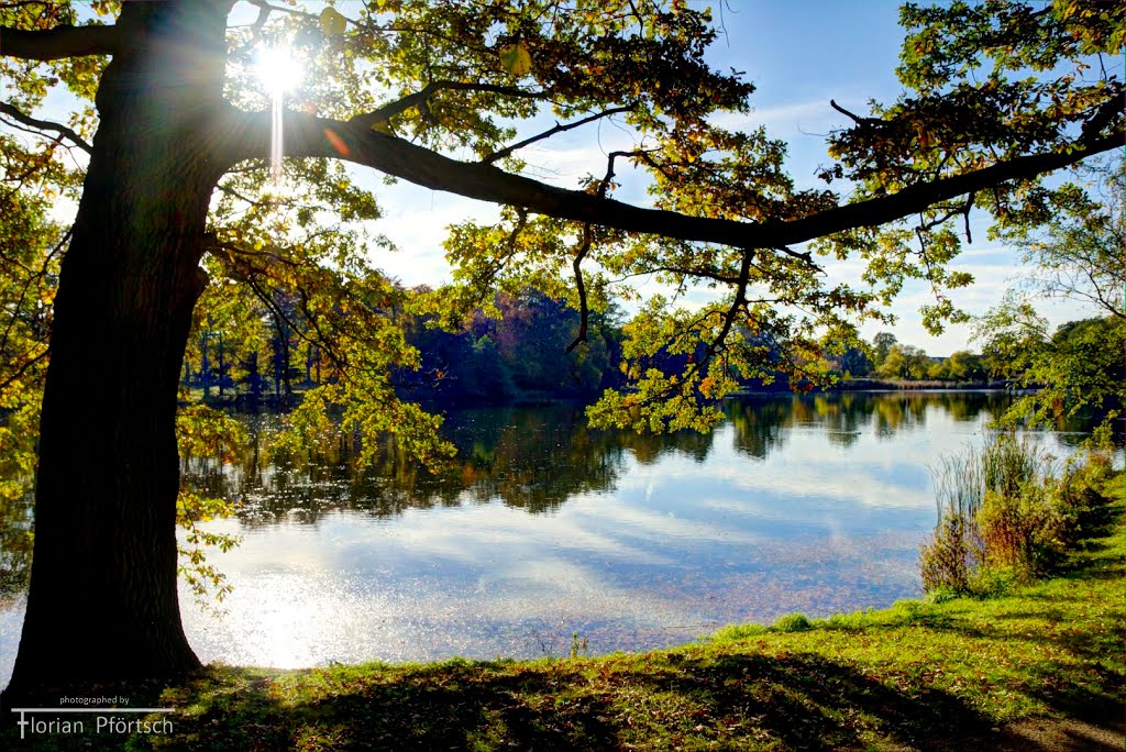 Wärmende Sonnenstrahlen HDR, Okt 2013 by Florian Pförtsch