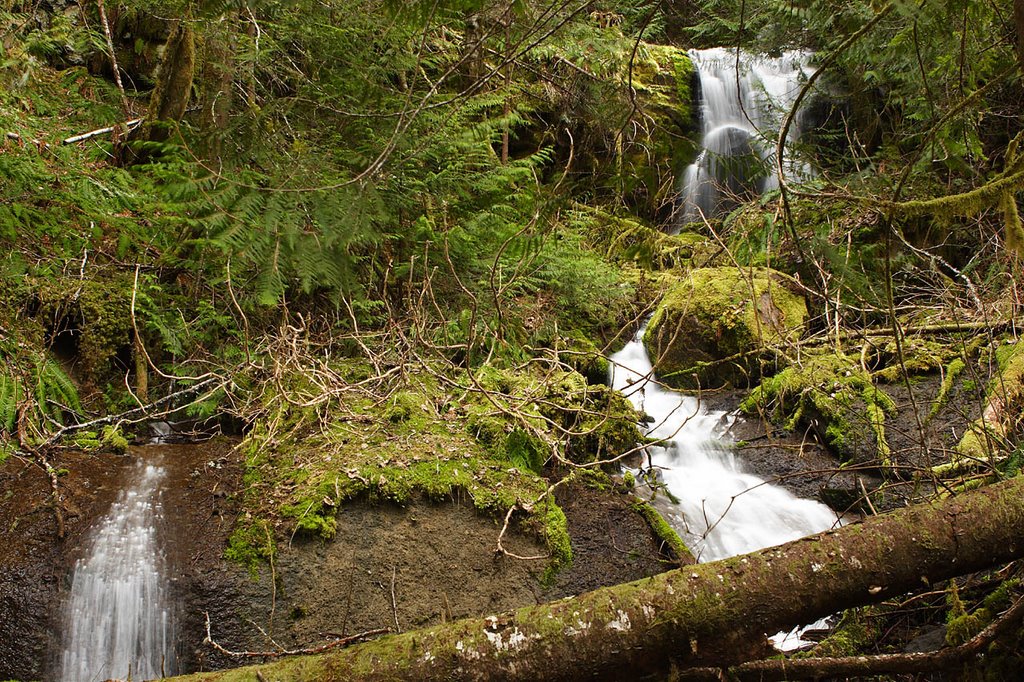 Nash Creek Falls Area by Kris Minnear