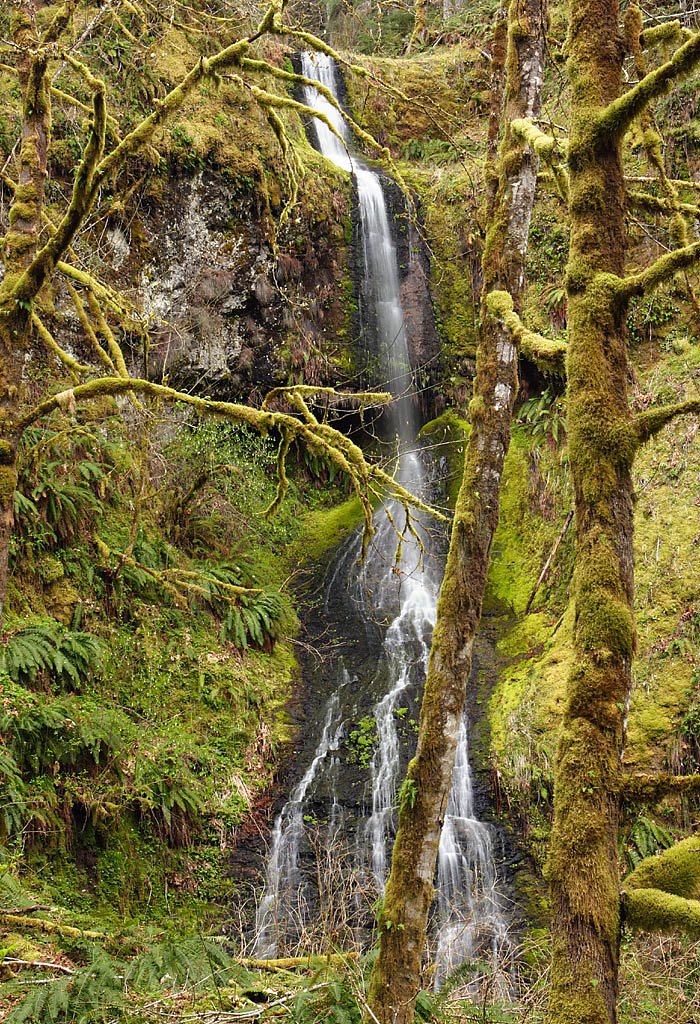 A Small Waterfall along the 77 Road by Kris Minnear