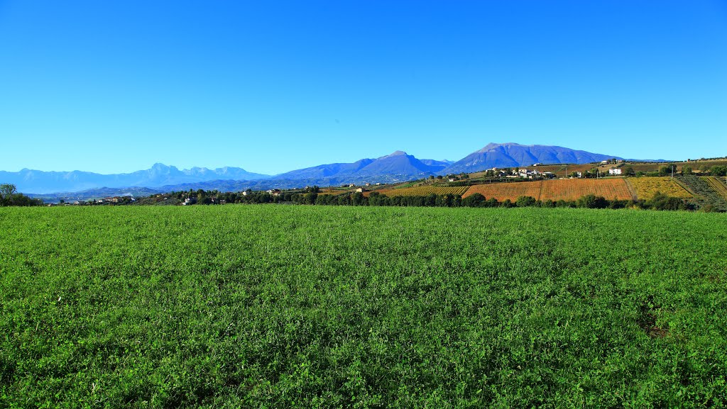 Campagna d'Abruzzo by di turi domenico