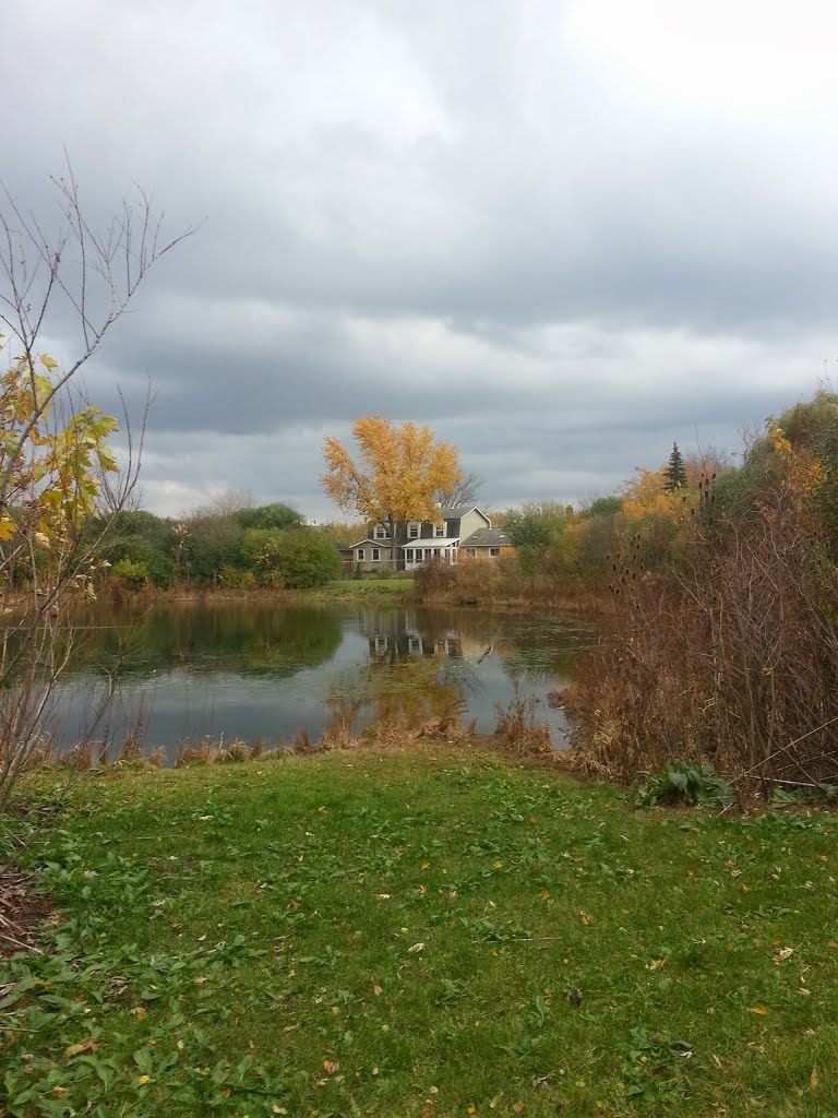 Westmont High School Pond by kris pierce