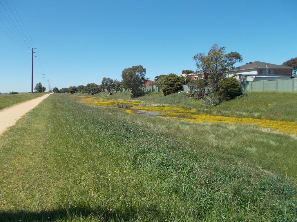 Mordialloc Creek Trail by VICPhotoSurvey