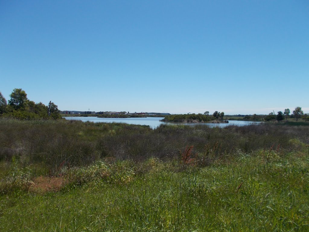 Mordialloc Creek Wetlands by VICPhotoSurvey