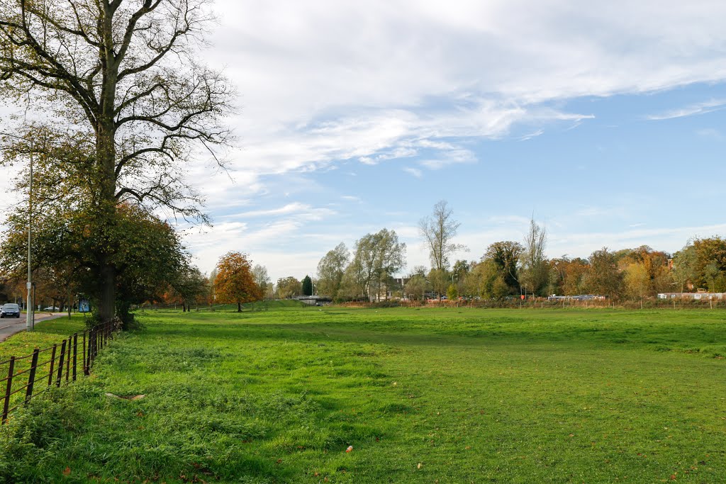 Box Moor by willCW