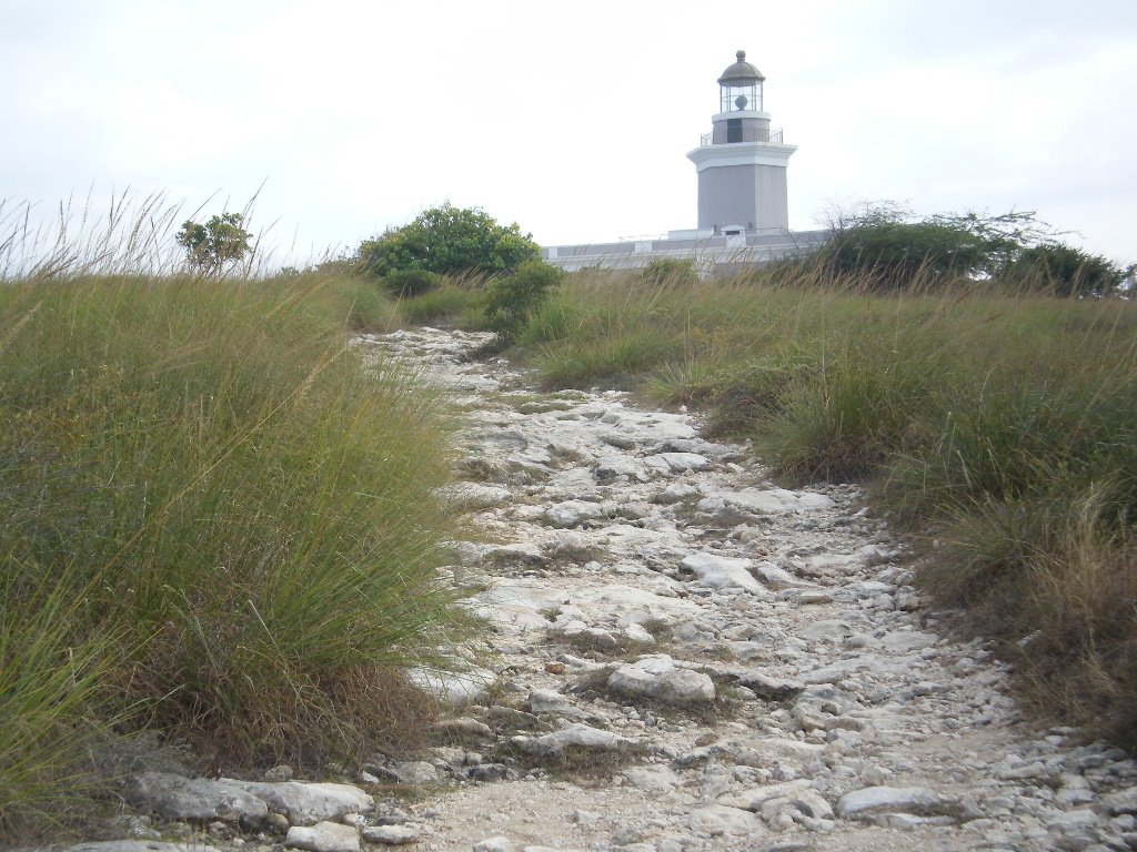 Vereda al Faro (Cabo Rojo) by villavieja