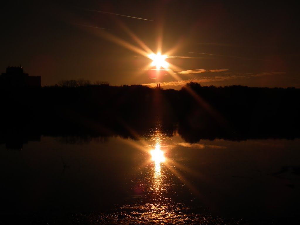 Sonnenuntergang an der Donau by Bibiana Papp