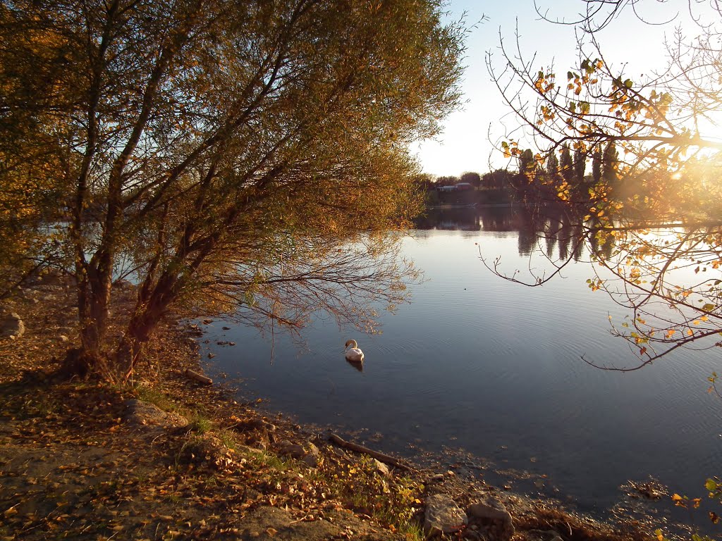 Autumn scenery by Bibiana Papp