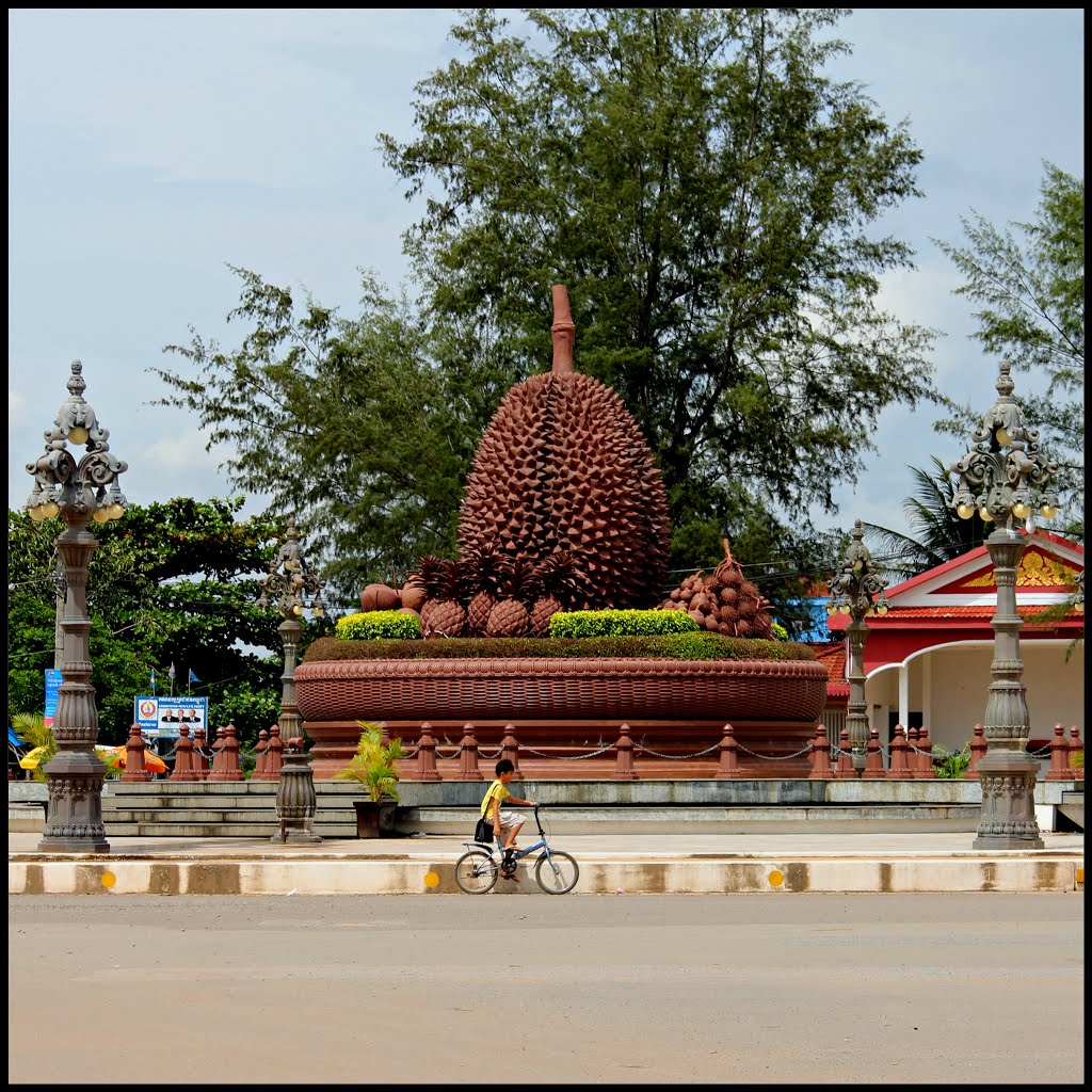 Fruit Roundabout - Kampot by ԁk‒cam