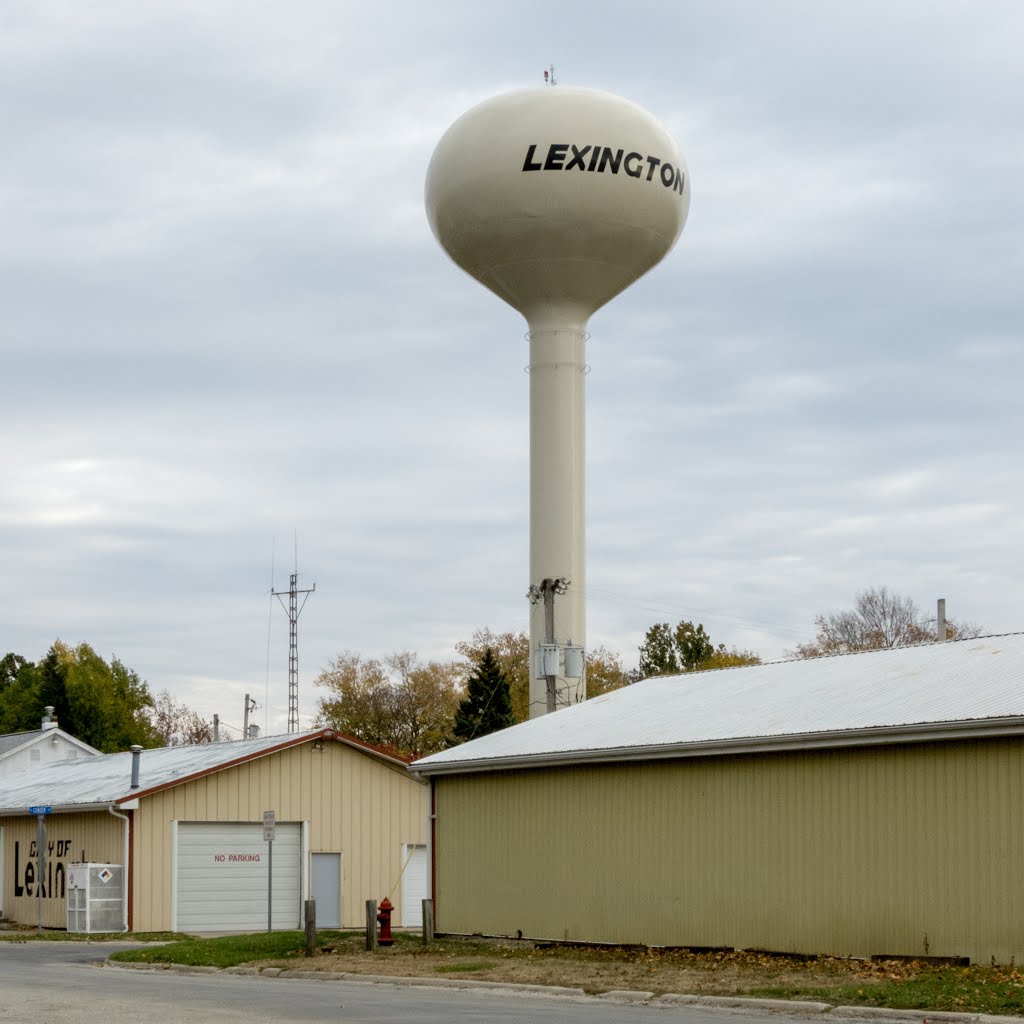 Lexington, Illinois water tower by D200DX