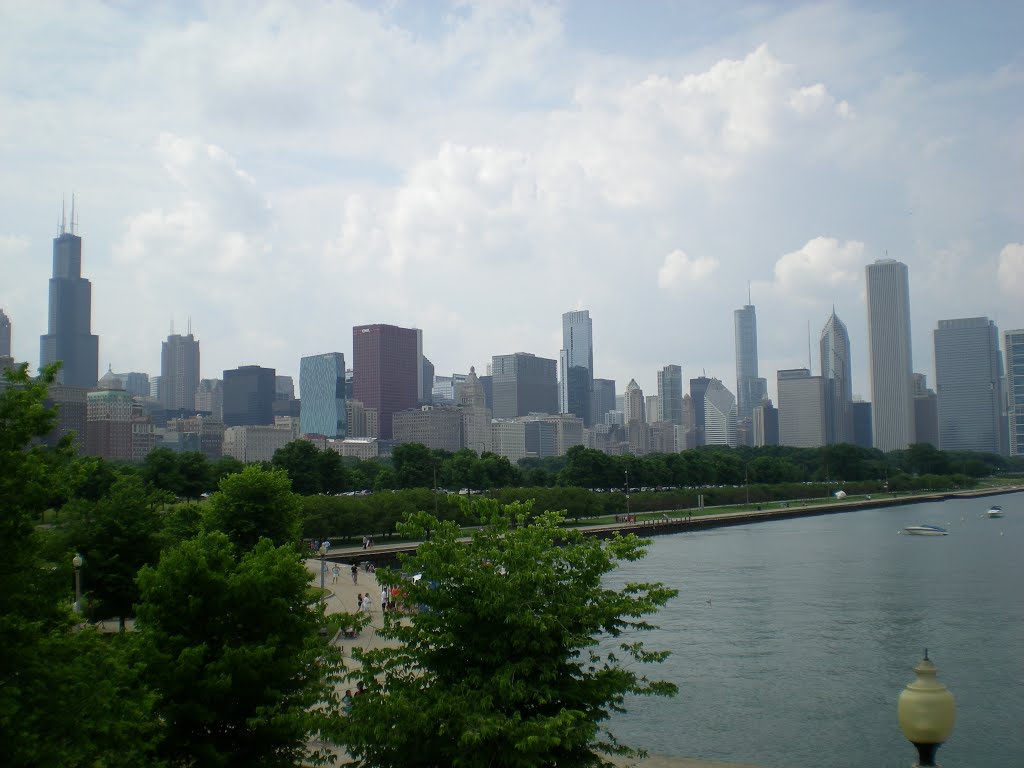 Skyline Chicago. by Dhirajlal