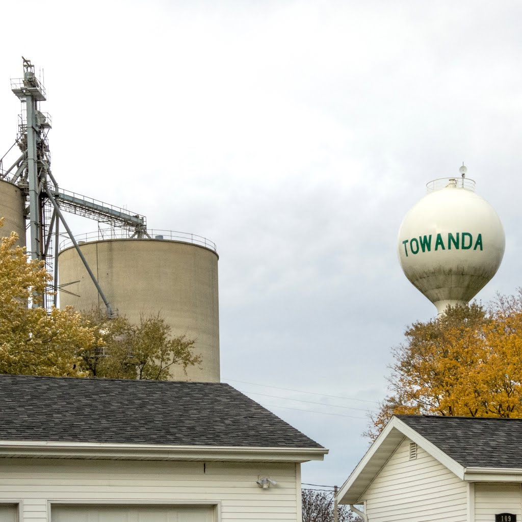 Towanda, Illinois water tower by D200DX