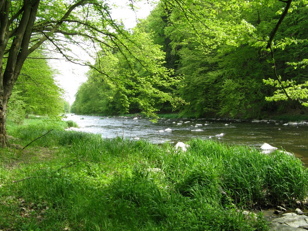 River Oslava, under Wolf's hill by Emil0013