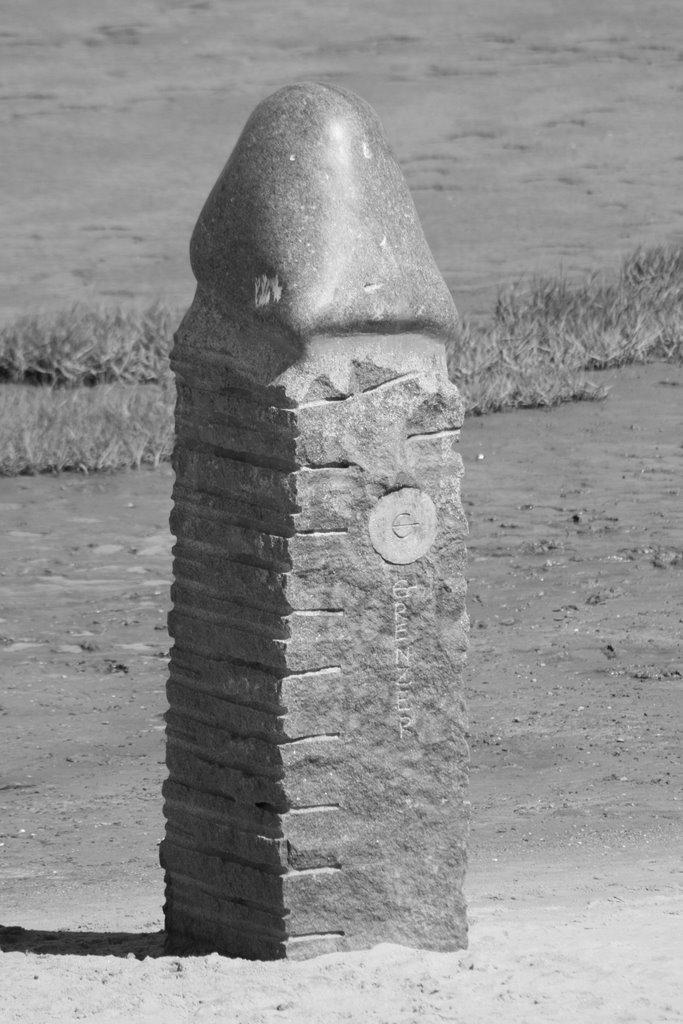 Phallus in Dangast 2007 by s.bruening