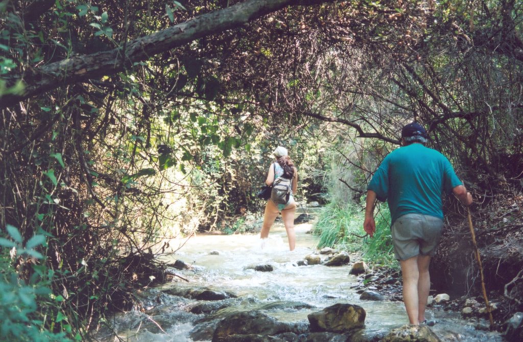 Rio Chillar, Nerja by Philip S Sutton