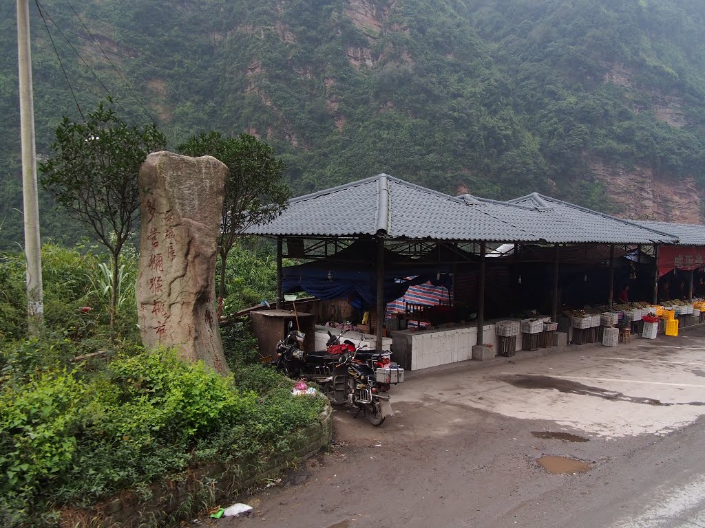 多营猕猴桃市场 - Duoying Kiwi Fruit Market - 2013.10 by rheins