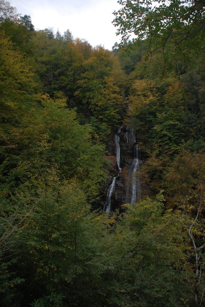 Düzce,Güzeldere_Waterfall Faling down from 150 m. / 150 metreden dökülen şelale by Figen Çakmakoğlu