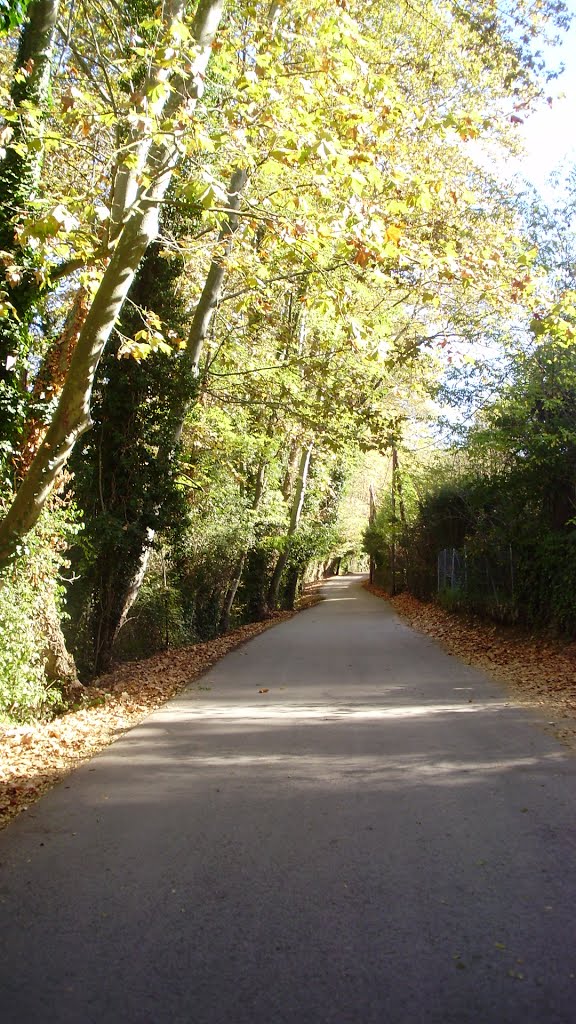 La Vall de Sant Daniel (Girona) by klimmanet