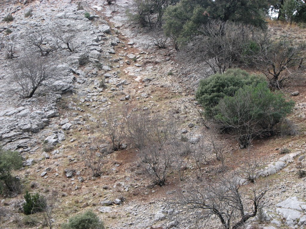 Santiago-Pontones, Jaén, Spain by Gerrit Holl