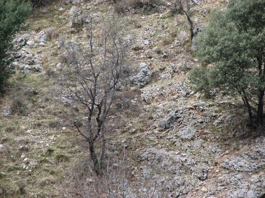 Santiago-Pontones, Jaén, Spain by Gerrit Holl