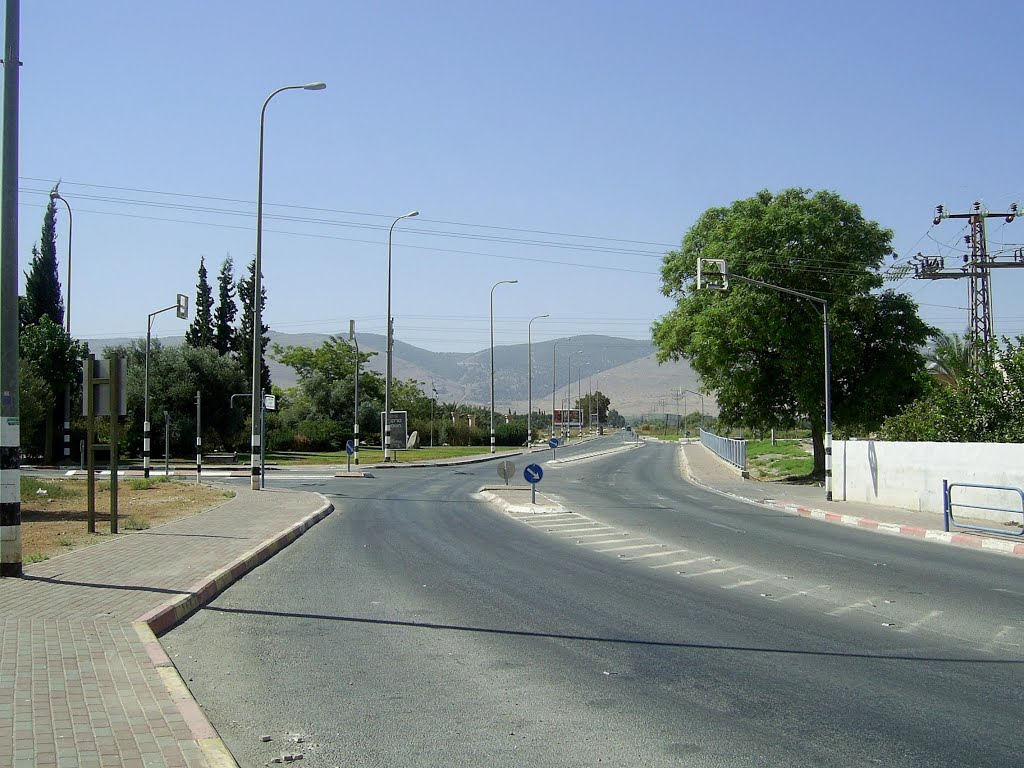 Road #6667 and Mount Gilboa by DiAr