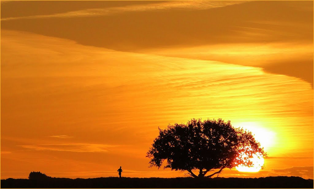 Jogger in Gold... by Chris10 ©