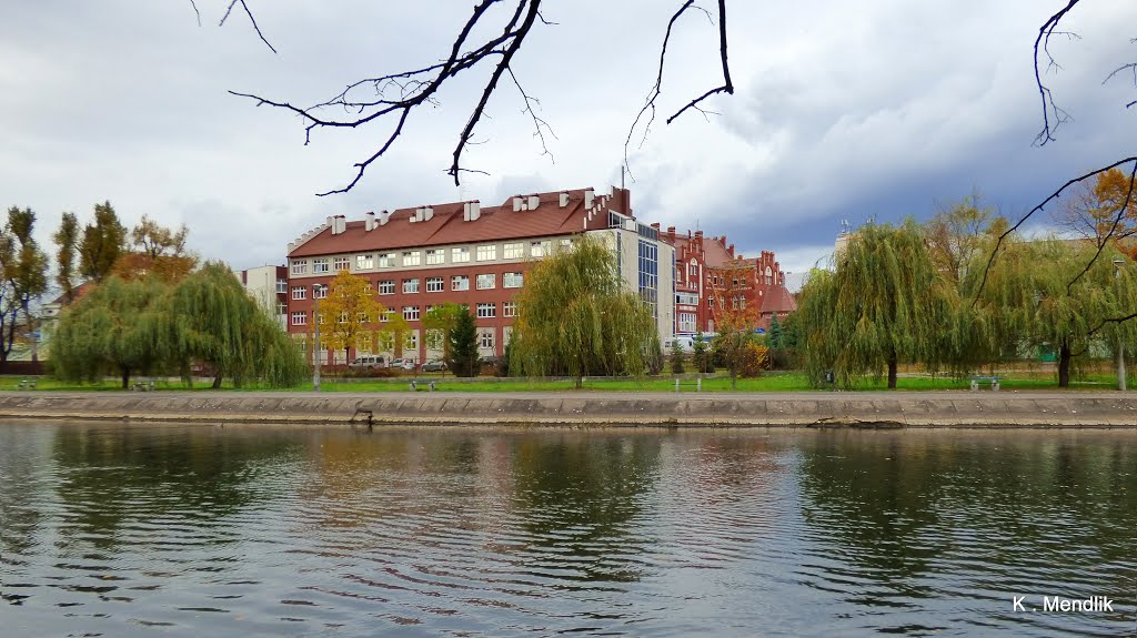 Wojewódzki Szpital Obserwacyjno -Zakaźny im Tadeusza Borowicza. Widok z prawego brzegu rzeki. by Kazimierz .Mendlik