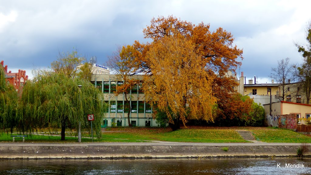 Babia Wieś ,Bydgoszcz, Polska. - Widok w kierunku lewego brzegu rzeki. by Kazimierz .Mendlik