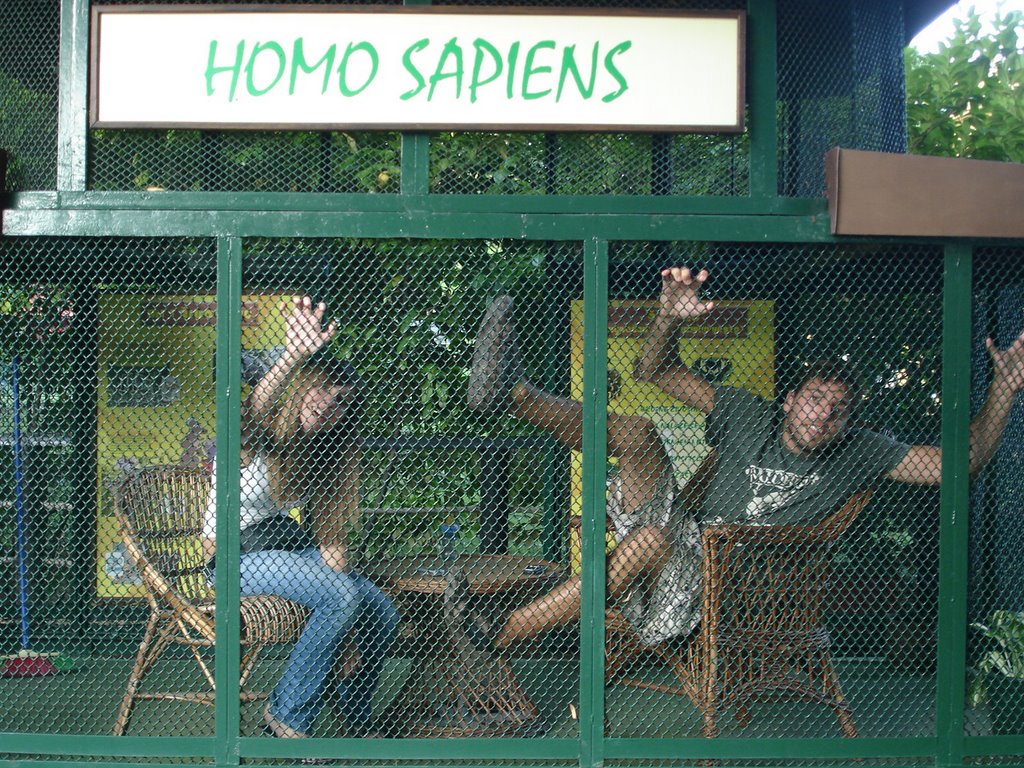 Homo sapiens in Zagreb ZOO :) by IrenaM