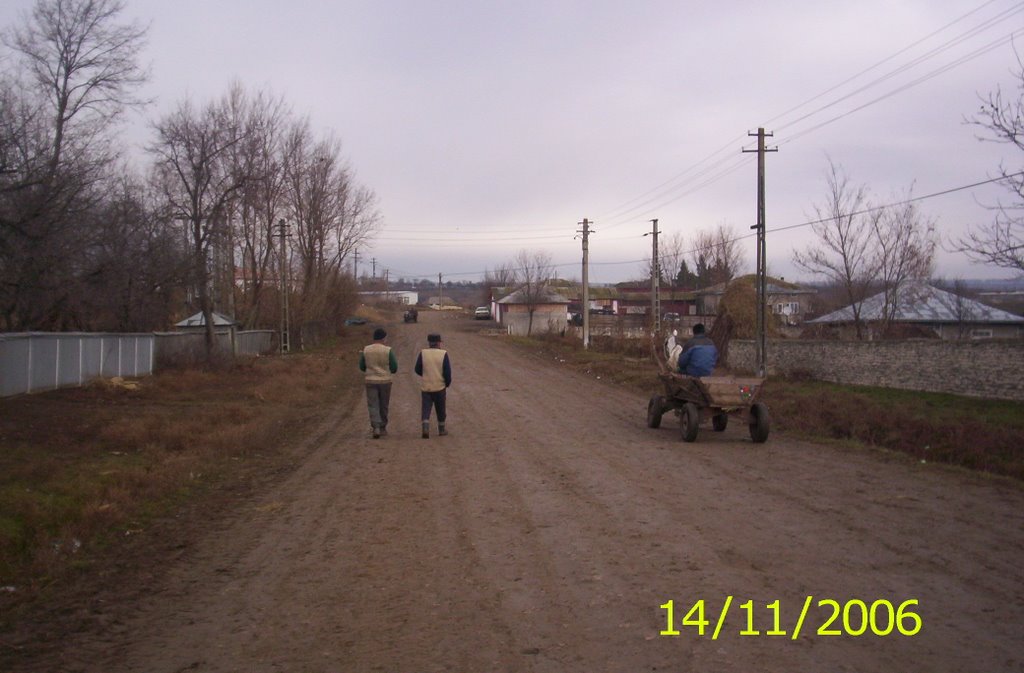 Horia, Romania by Marian ewbbi