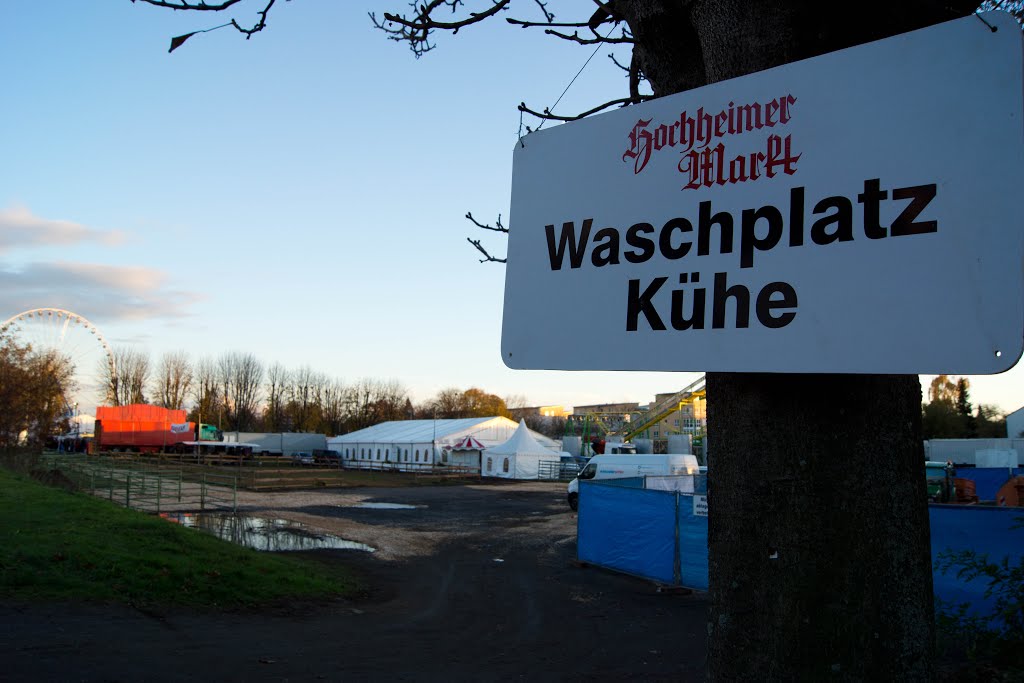 Waschplatz für Kühe by © DerSIGGY