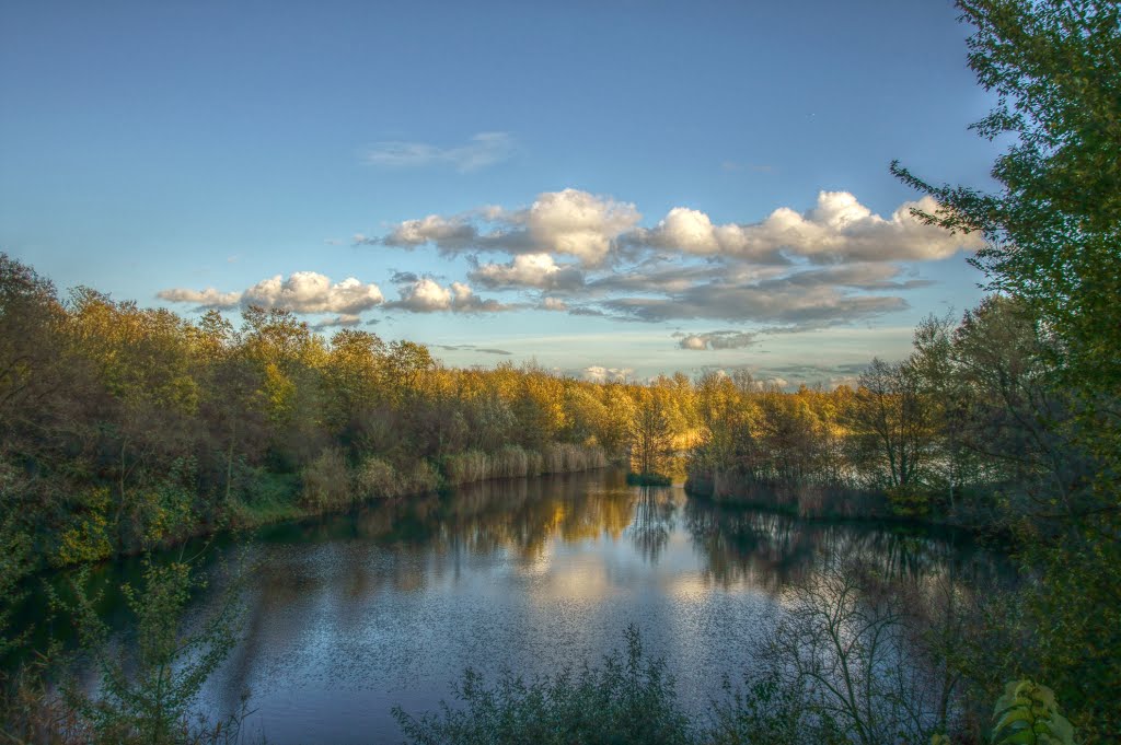 Mörfelden Oberwaldsee by schnauzerfreund